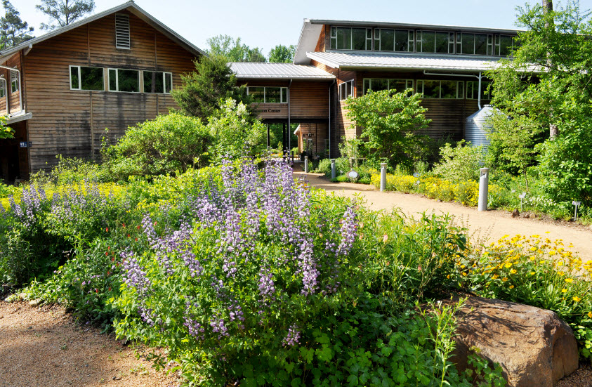 North Carolina Botanical Garden, United States